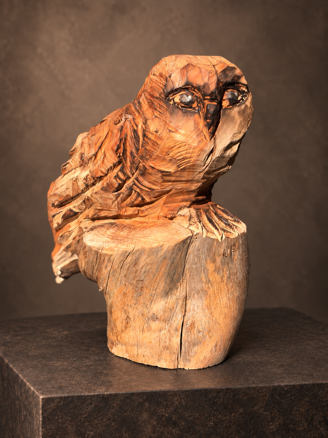 L’observatrice – Image 3