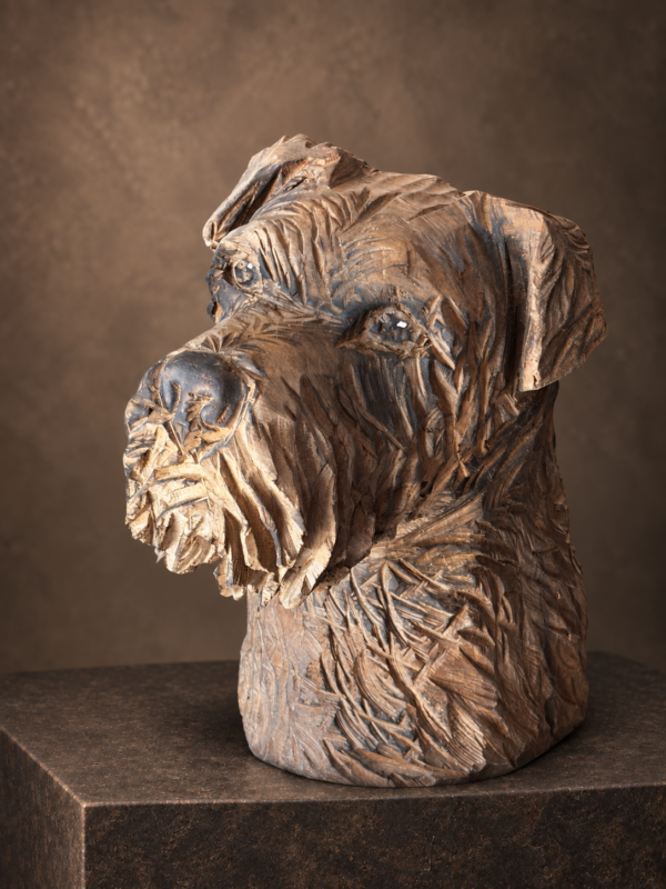 Chien têtu