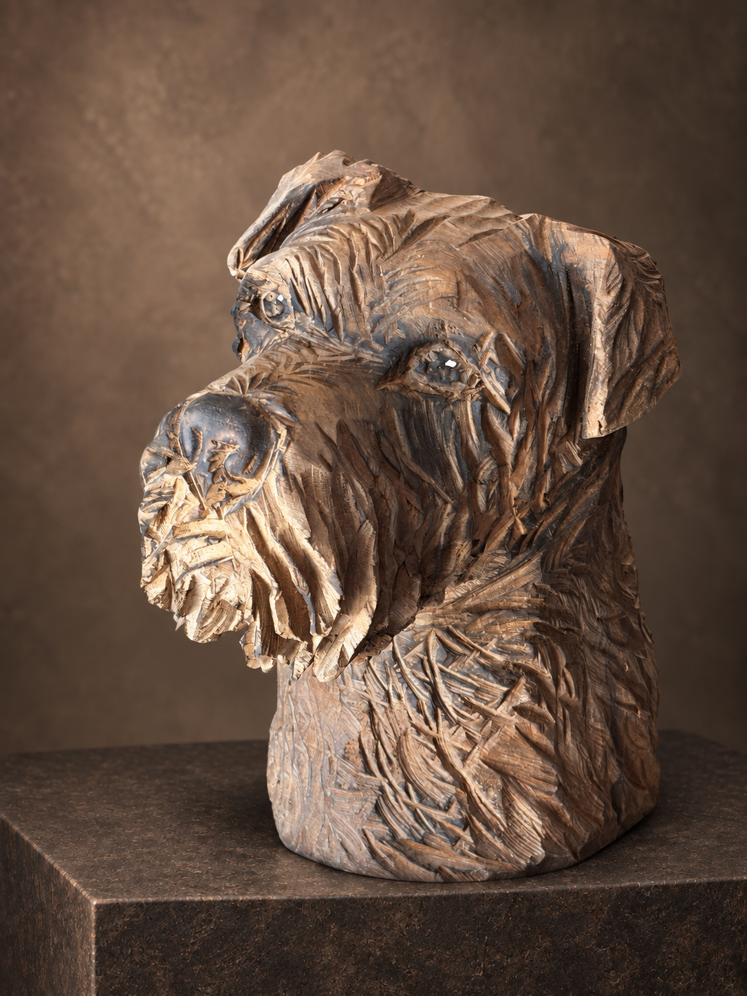 Chien têtu