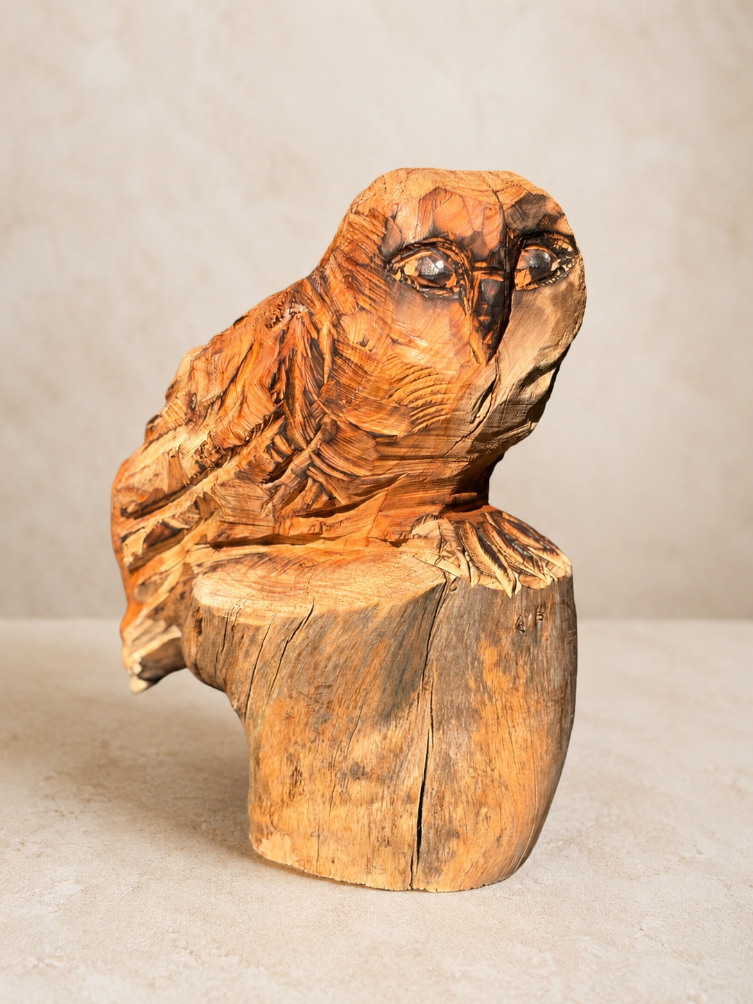 L’observatrice – Image 4