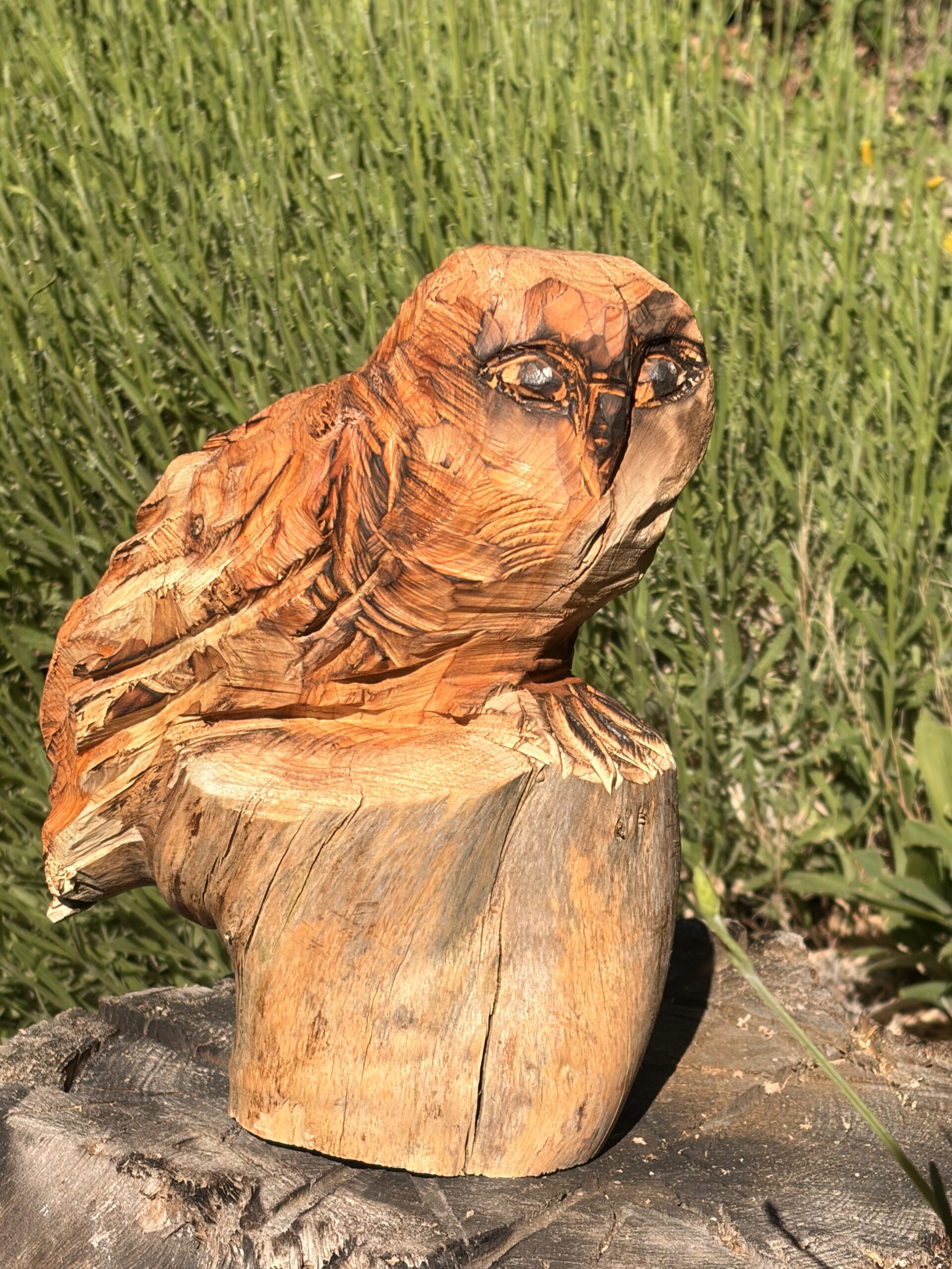 L’observatrice – Image 2