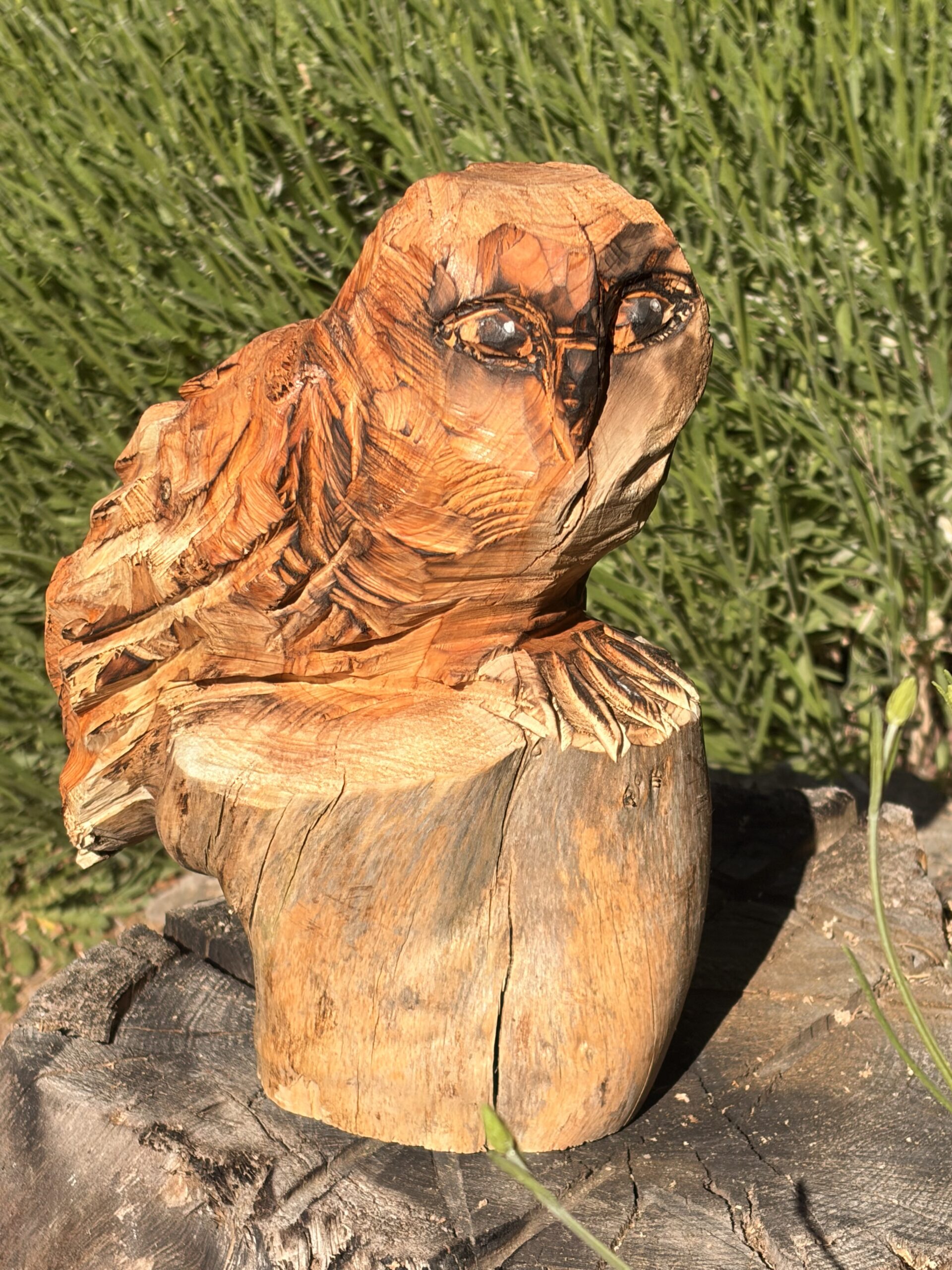 L’observatrice – Image 6